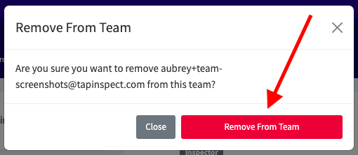 Confirm Remove Team Member.png