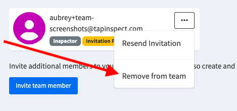 Team Member Action Menu.png